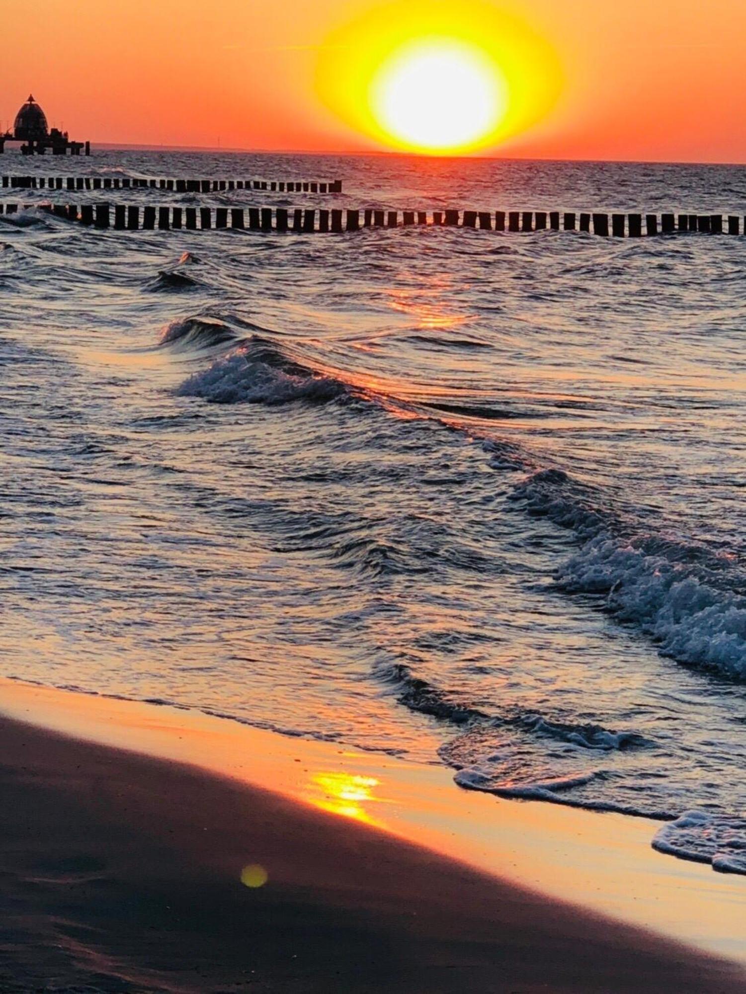 Igel Lägenhet Zingst Exteriör bild